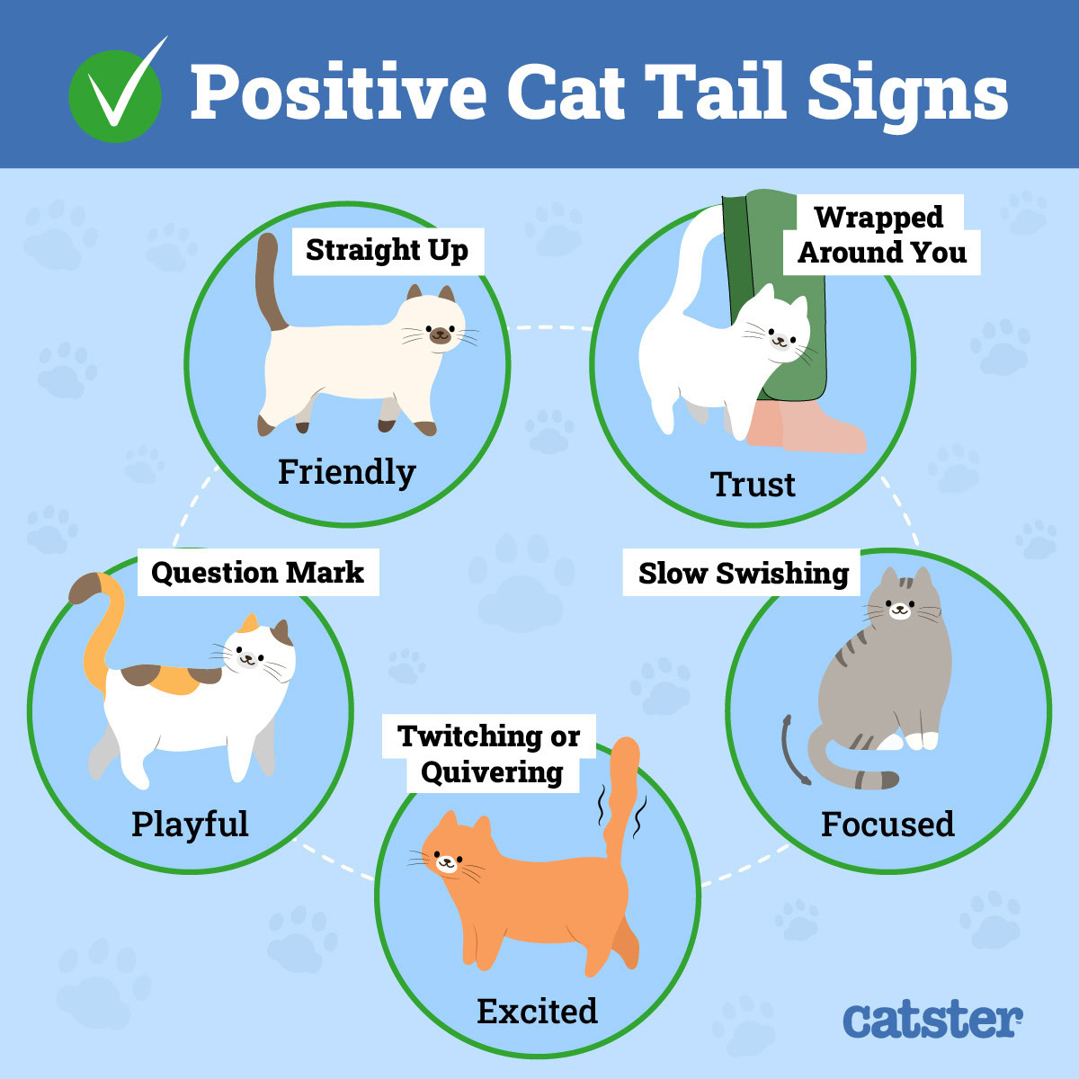 Positive Cat Tail Language
