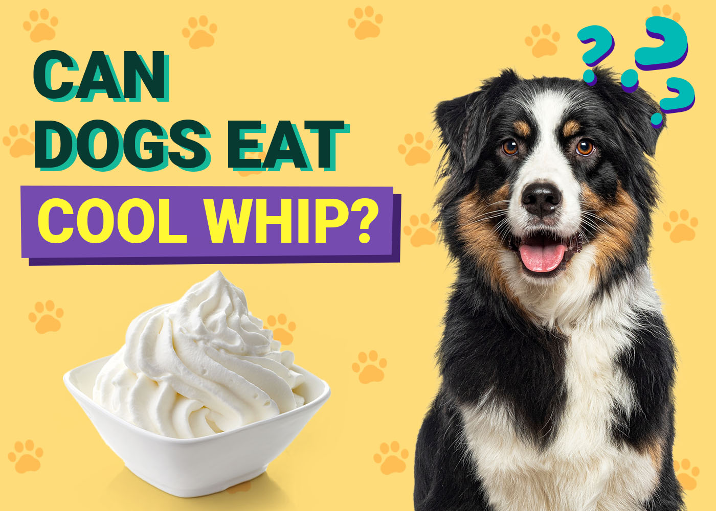 PangoVet-Can-Dogs-Eat-Cool Whip