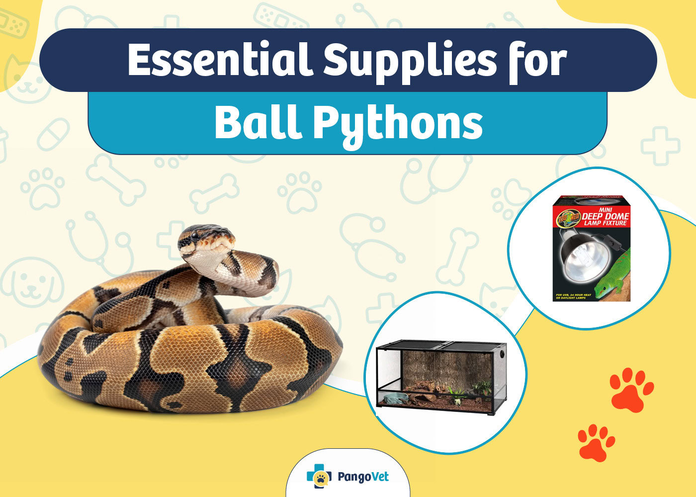 PangoVet_Essential Ball Python Supplies