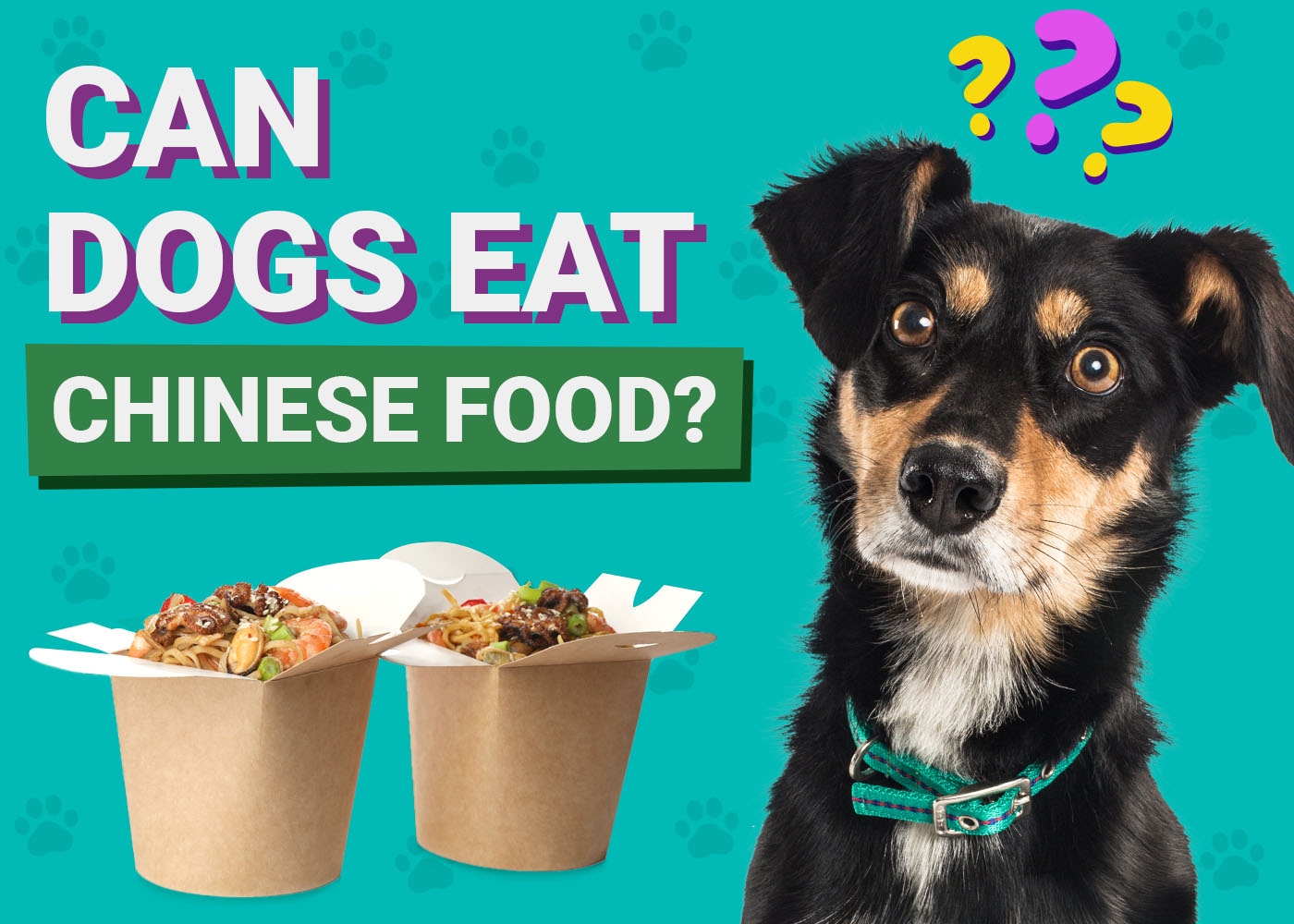 Pangovet-Can-Dogs-Eat-Chinese Food