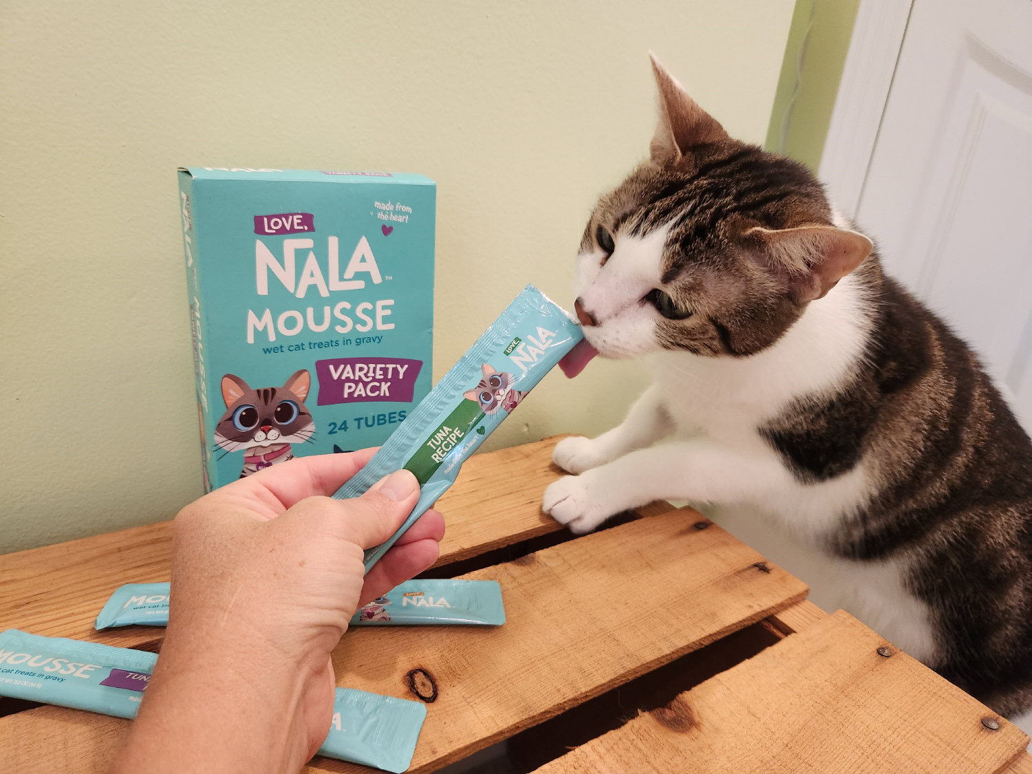 Love, Nala Product Review - Luna eating the mousse tuna cat treat