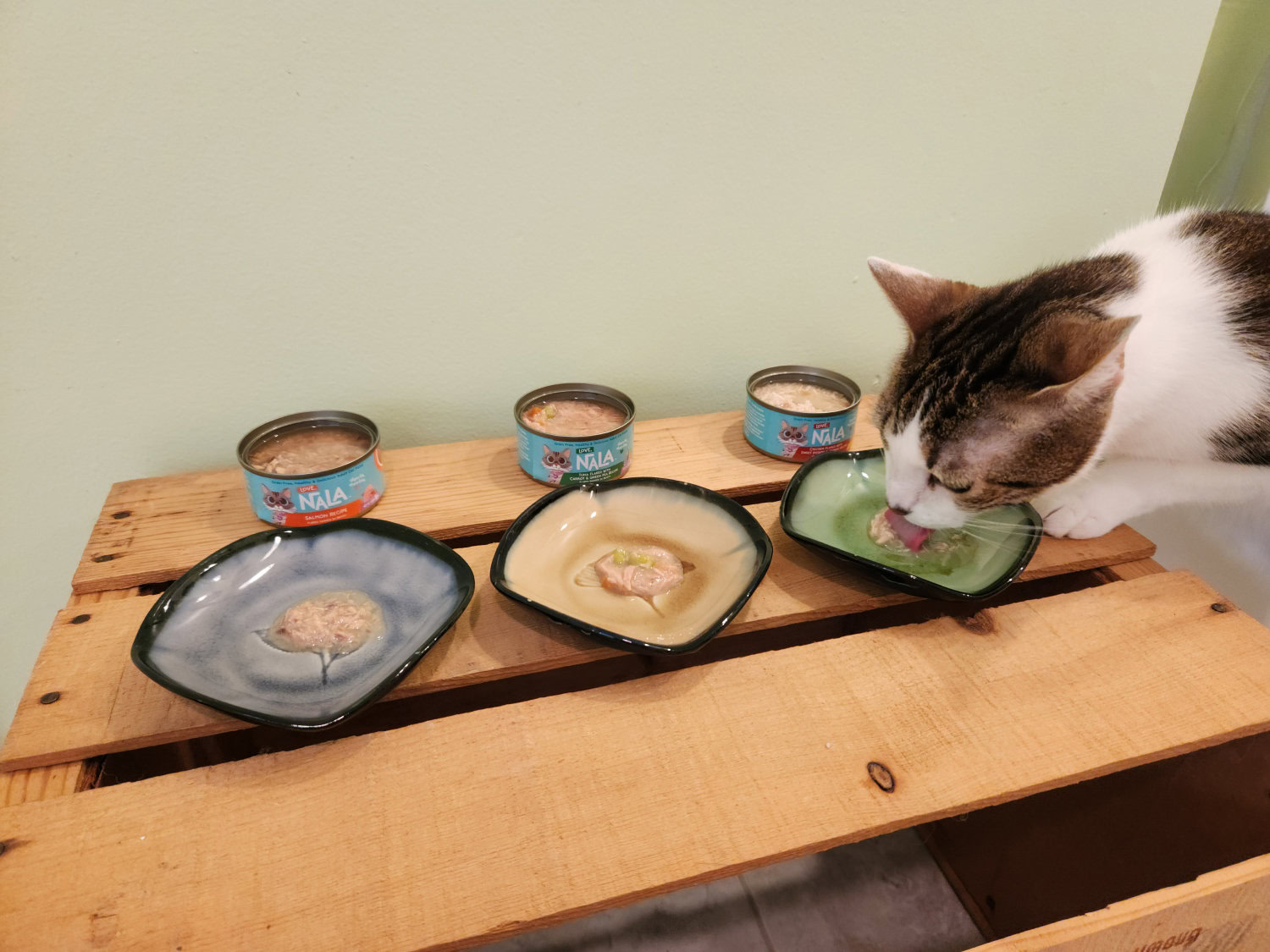 Love, Nala Product Review - Luna trying out the flake recipes