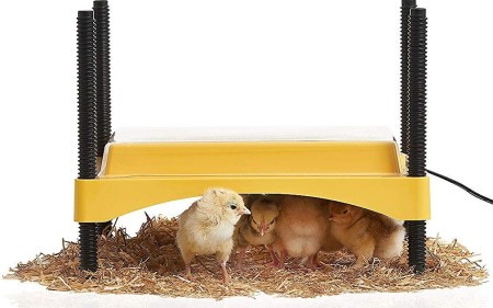Brinsea EcoGlow Safety 600 Chick & Duckling Brooder