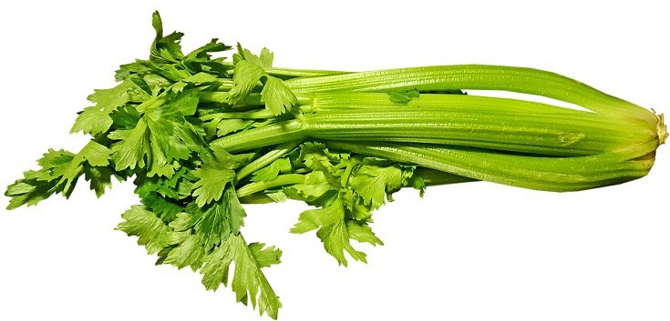 Celery