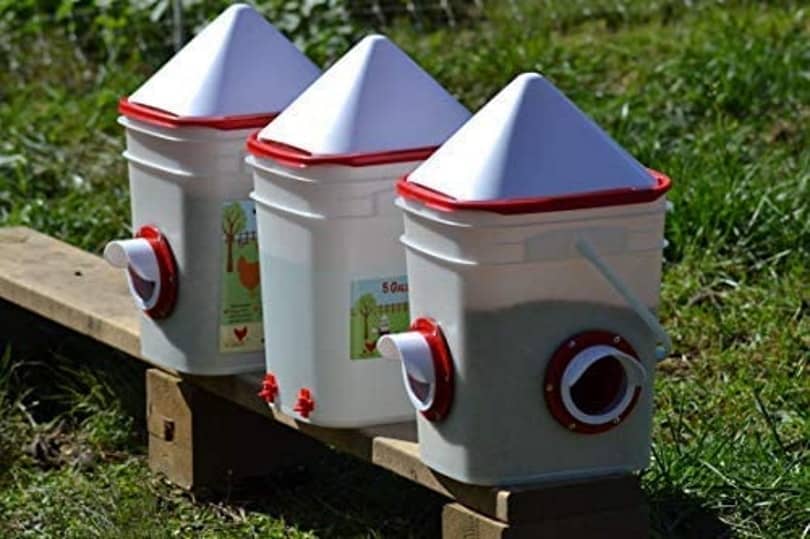 Chicken Feeder_RentAcoop_Amazon