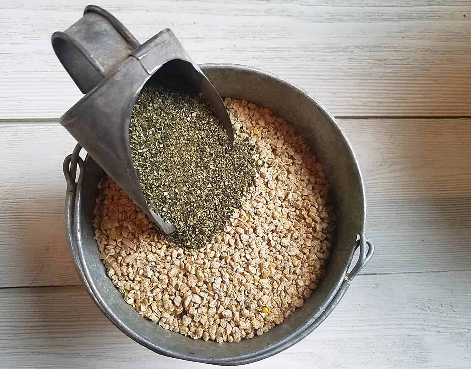 Coop Kelp Organic Chicken and Duck Feed Supplement in a scooper