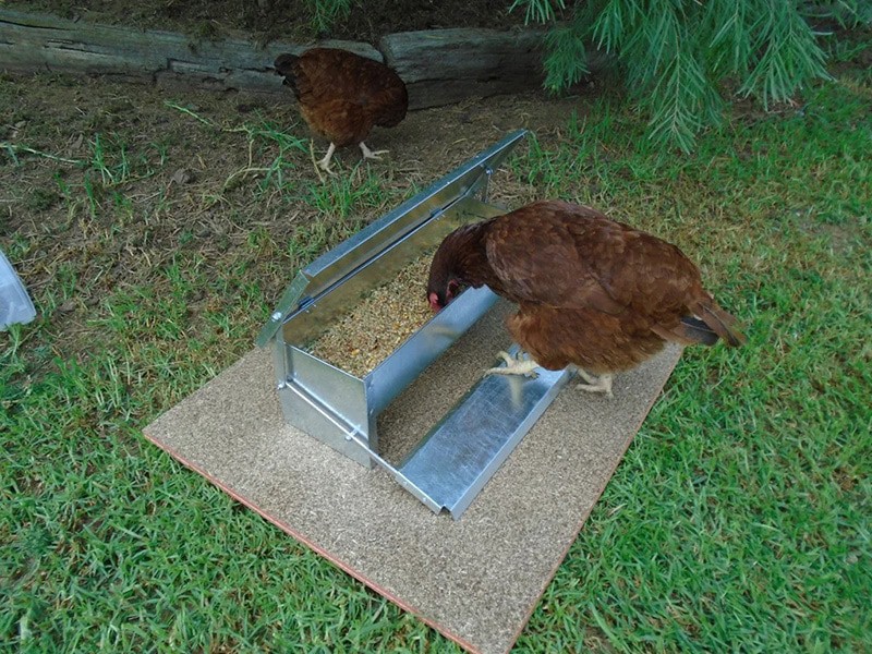 DIY Chicken Waterer and Feeders