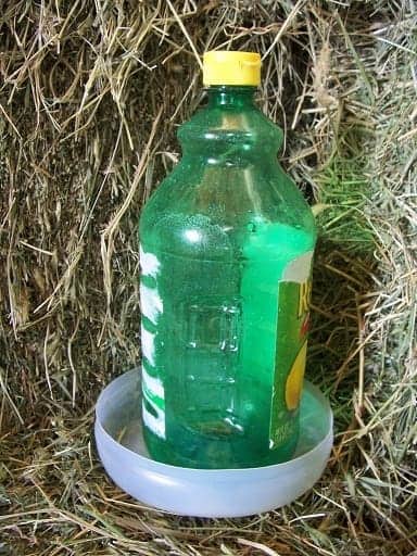 DIY Homemade Chick Waterer