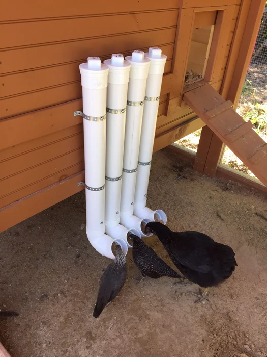 DIY PVC Chicken Feeder
