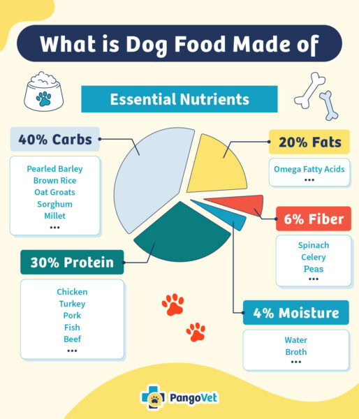Protein for Dogs: How Much Do They Need? Our Vet Answers! | The Vet Desk