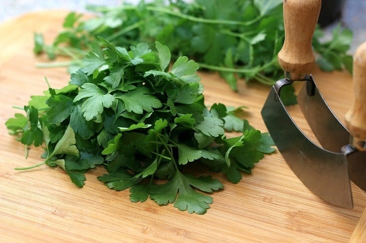 Parsley on wooden board