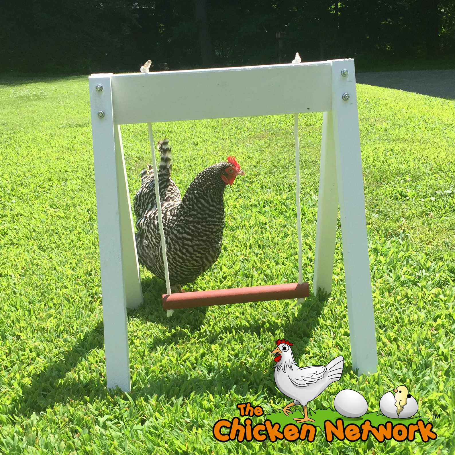 Swing for Ducks by etsy