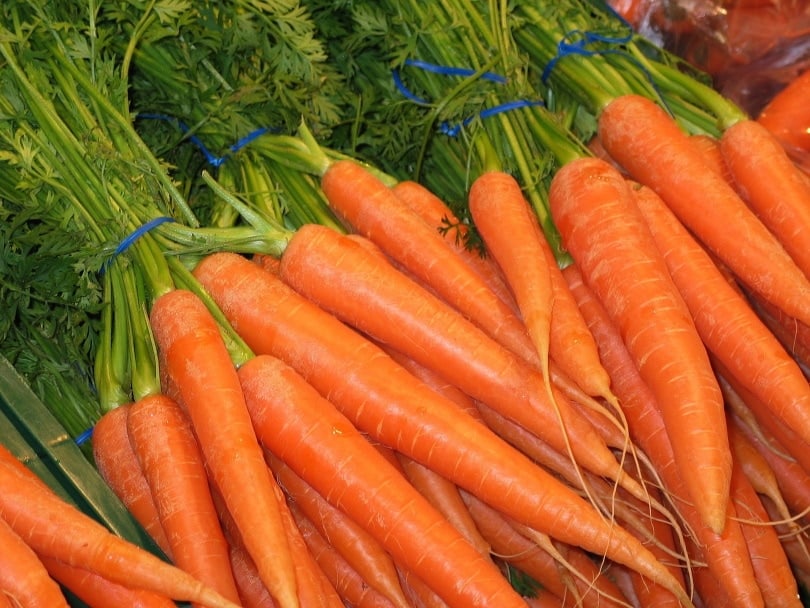 carrots