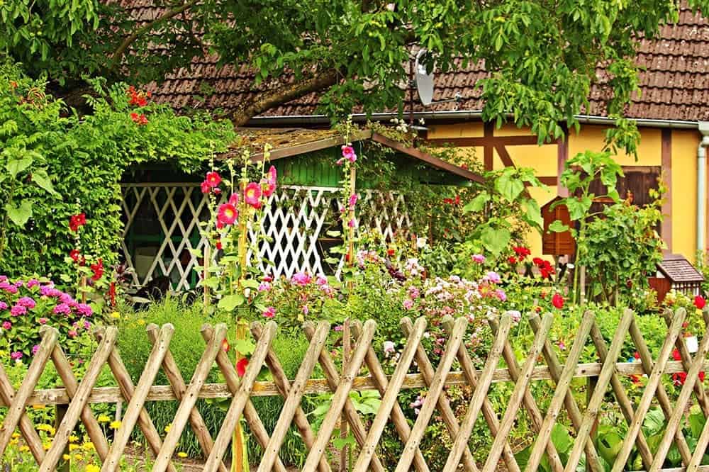 fenced garden
