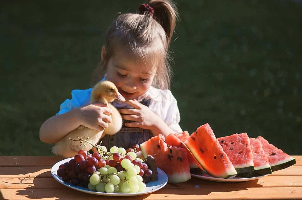 little girl holding a duck in the table