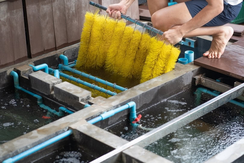 man checking pond filter