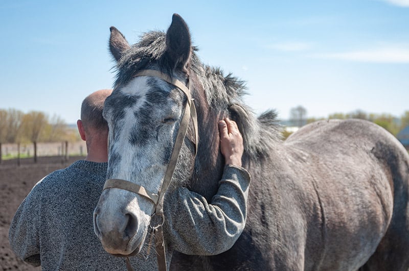 man hugging an old horse