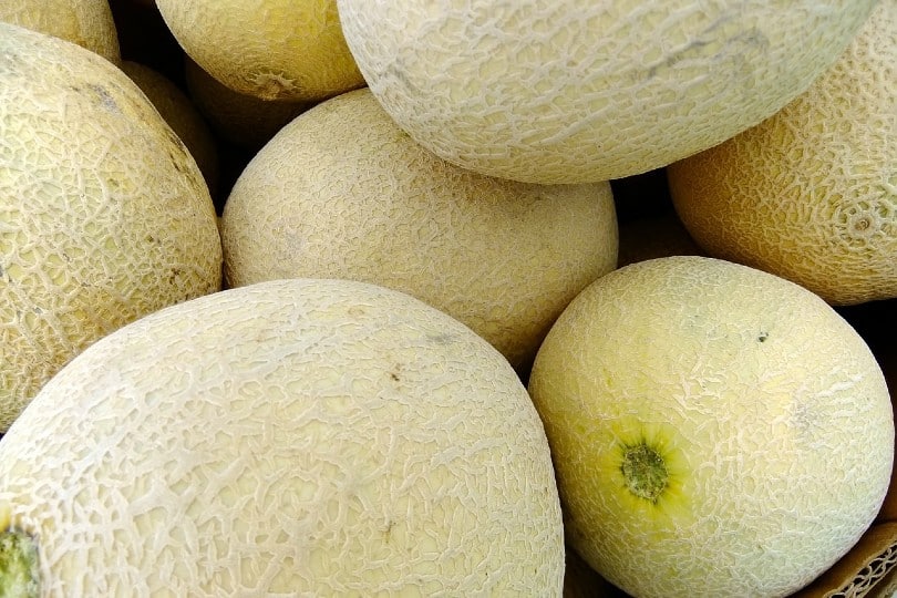 whole cantaloupes