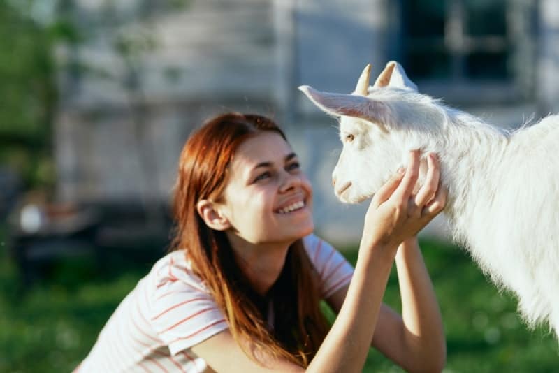 woman taking care of goat
