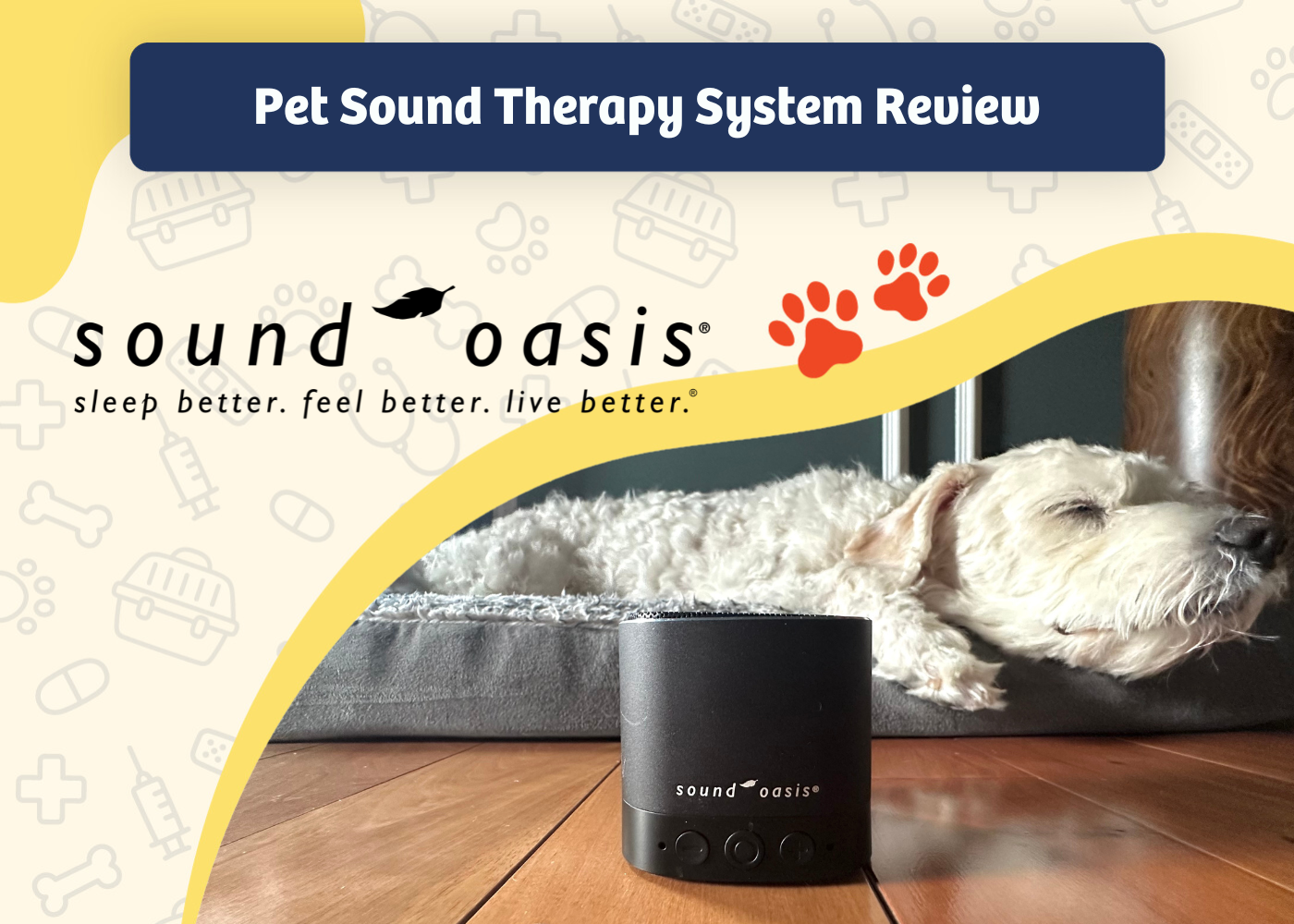 Sound Oasis Pet Sound Therapy System Review - featured image