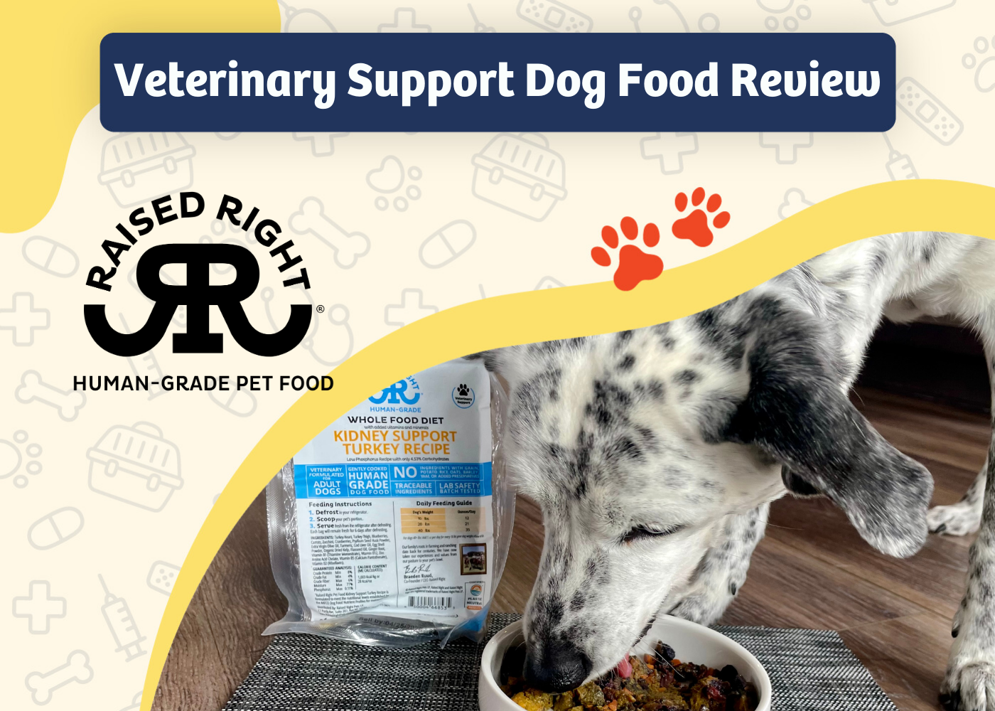Raised Right Veterinary Support Diets Review - featured image