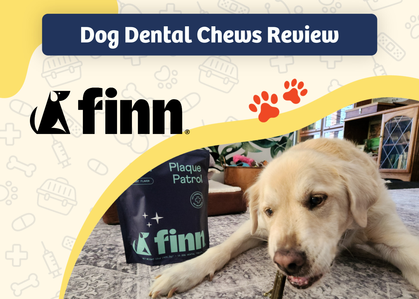 Finn Plaque Patrol Review - featured image