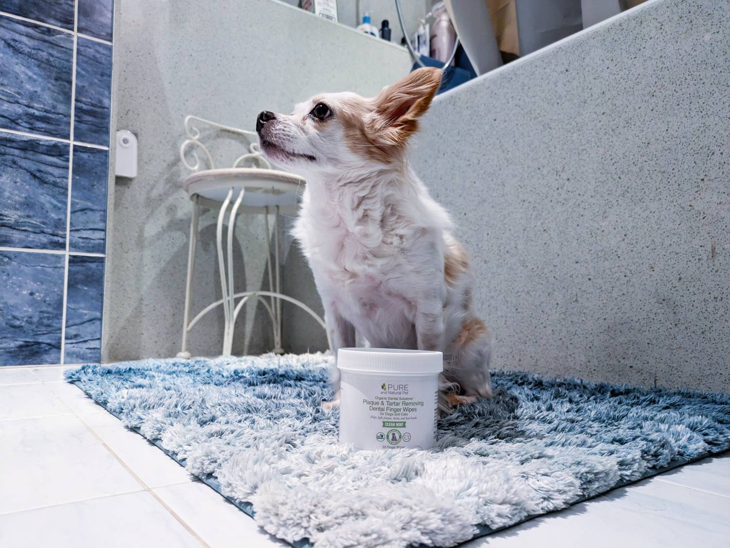 Pure And Natural Pet Dental Finger Wipes Review - product with dog in the bathroom
