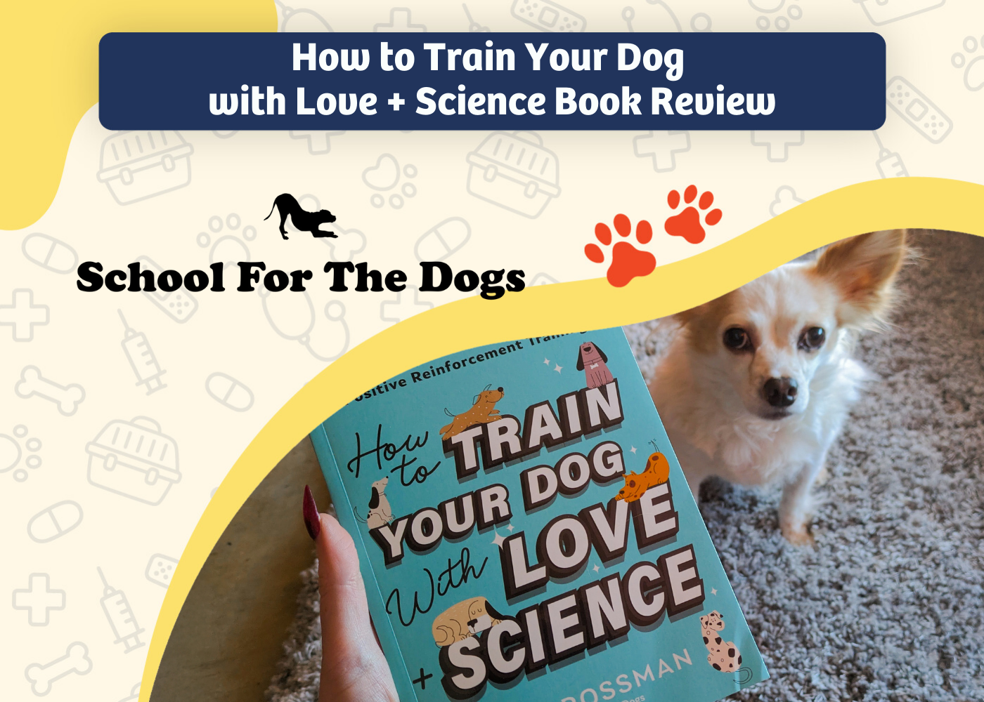 How to Train Your Dog with Love + Science Book Review - featured image