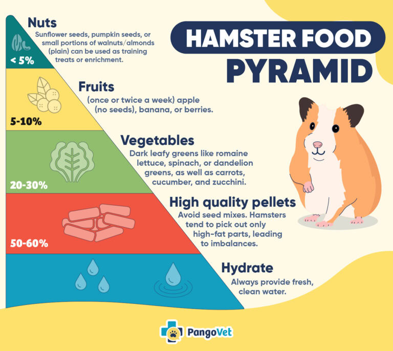 Can Hamsters Eat Lettuce? Vet-Approved Nutritional Science & Info | The ...