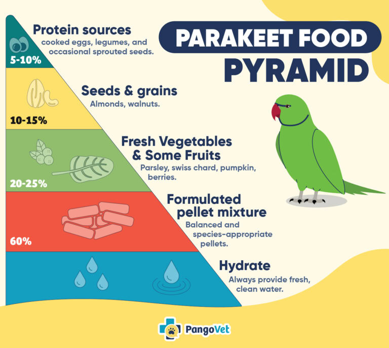 Can Budgies Eat Carrots? Vet-Reviewed Nutritional Science & Info | The ...