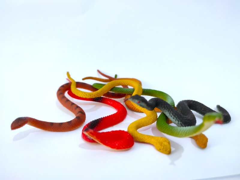 Colorful rubber snake toys