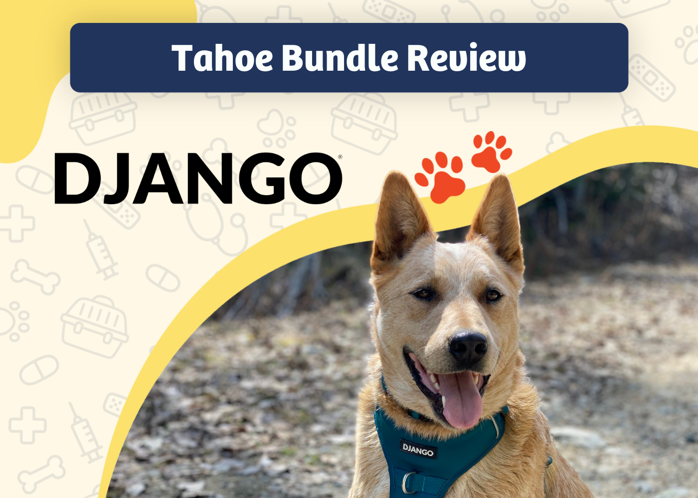 DJANGO Tahoe Bundle Review - featured image