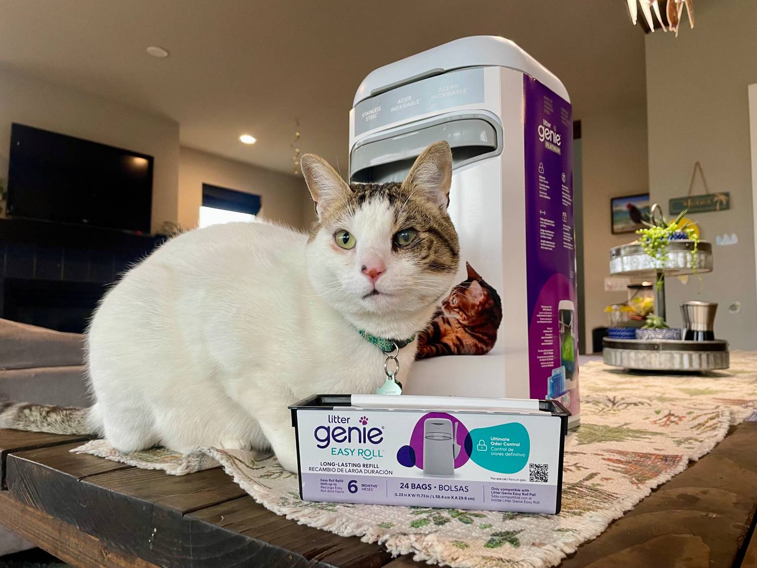 Litter Genie Platinum Pail Review - cat with product on counter