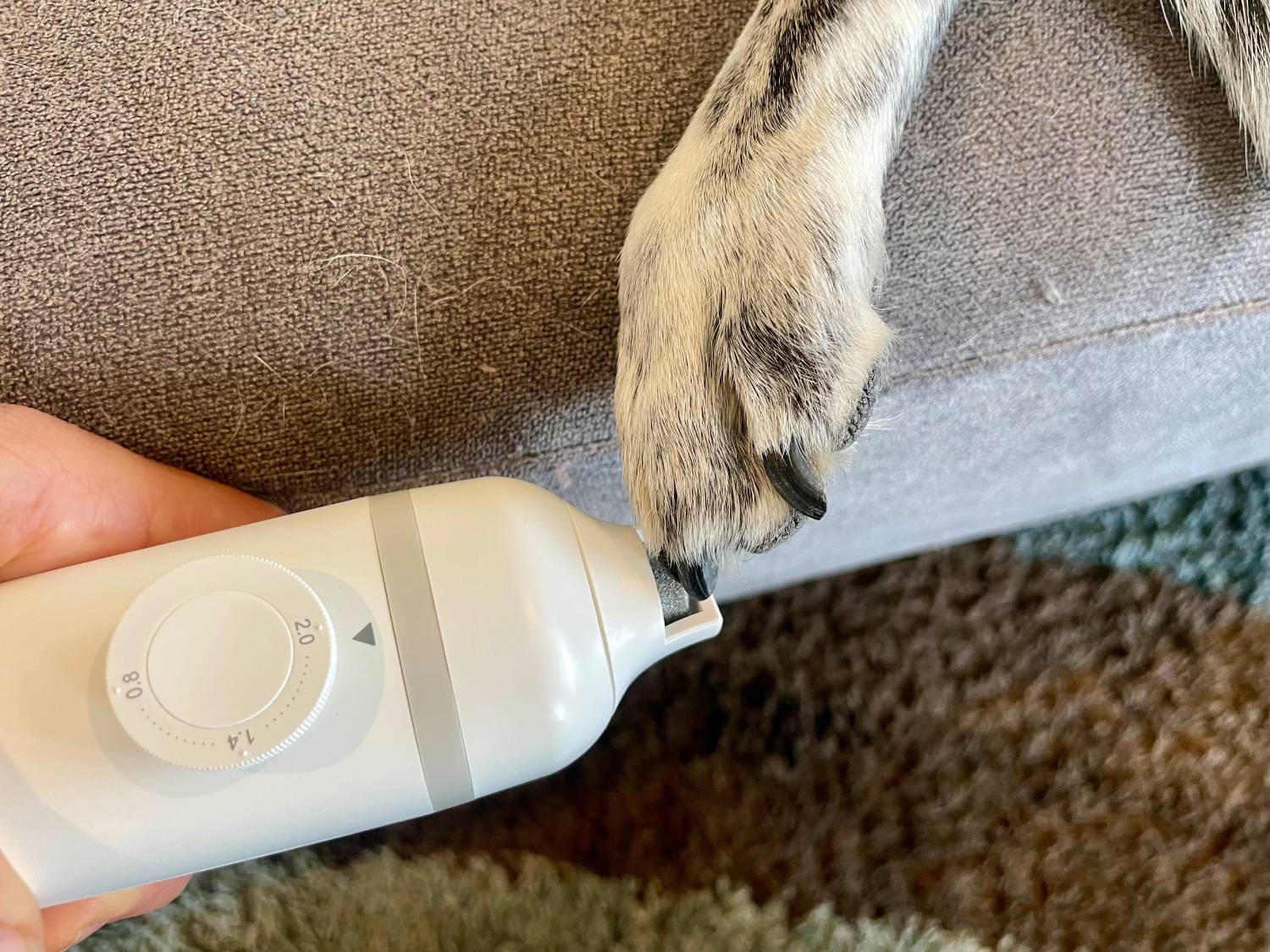 Neakasa S1 Pro Pet Grooming Vacuum Kit Review - clipping nails
