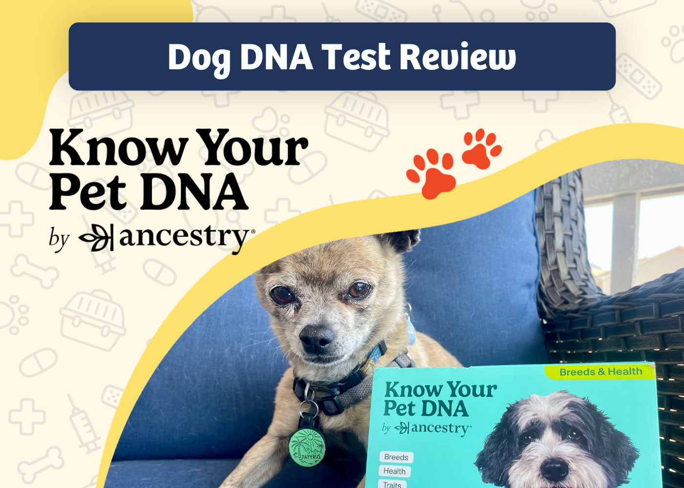 PGV Know Your Pet DNA by Ancestry Review - featured image